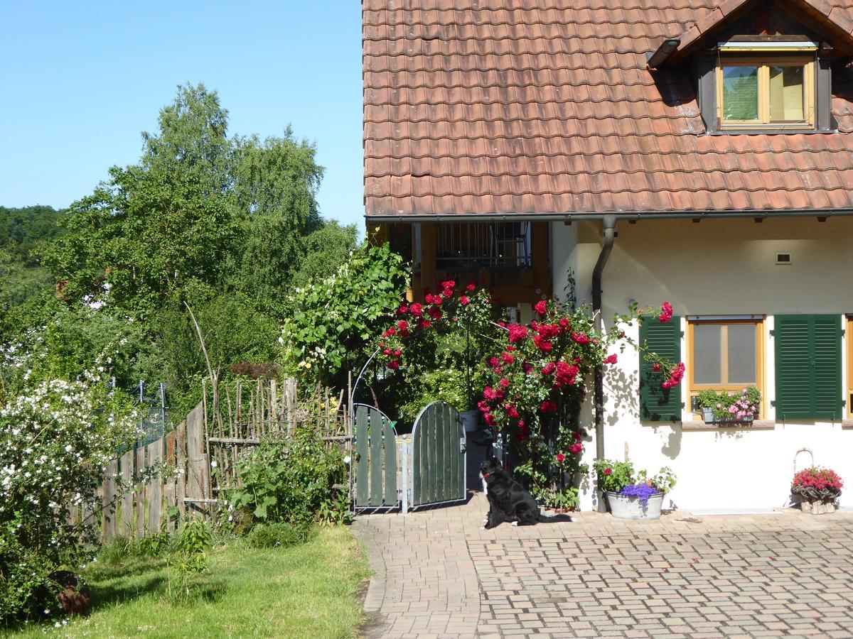 Ferienwohnung Waldblick 茨魏布肯 外观 照片